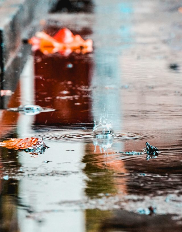 vishal-joshi-tMOjEPs3oTM-unsplash