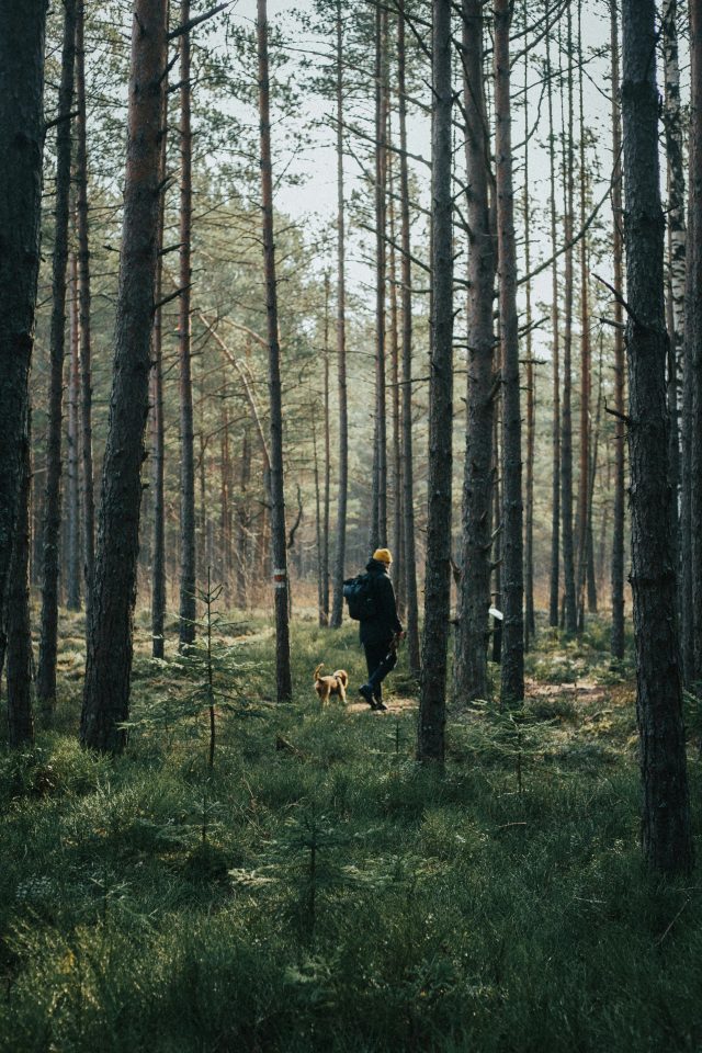 ruta-celma-t_c6AaJNk4g-unsplash