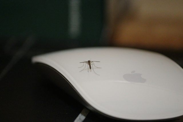 luke-madziwa-sgULh0Lc6Qk-unsplash